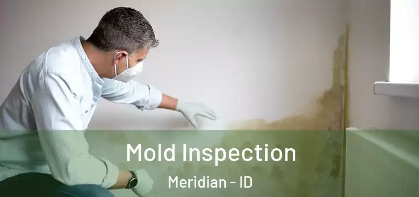 Mold Inspection Meridian - ID