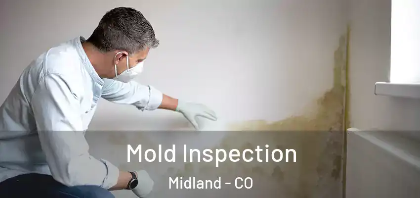 Mold Inspection Midland - CO