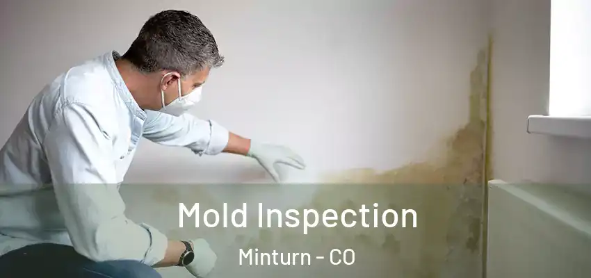  Mold Inspection Minturn - CO