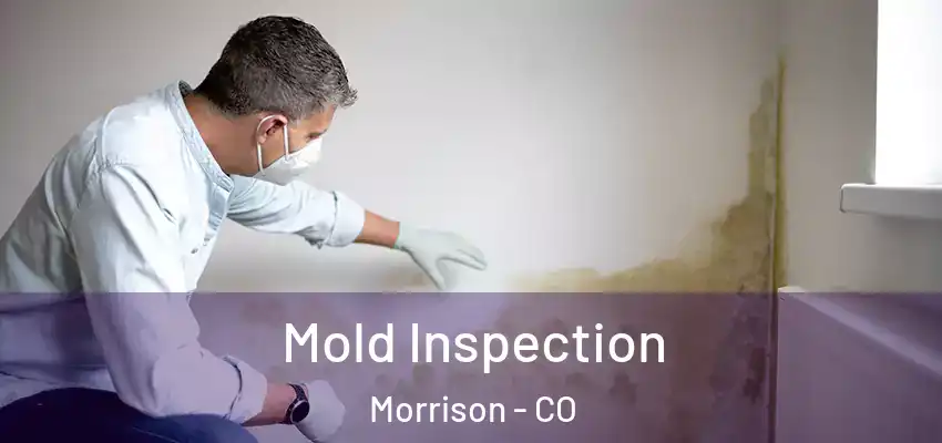  Mold Inspection Morrison - CO