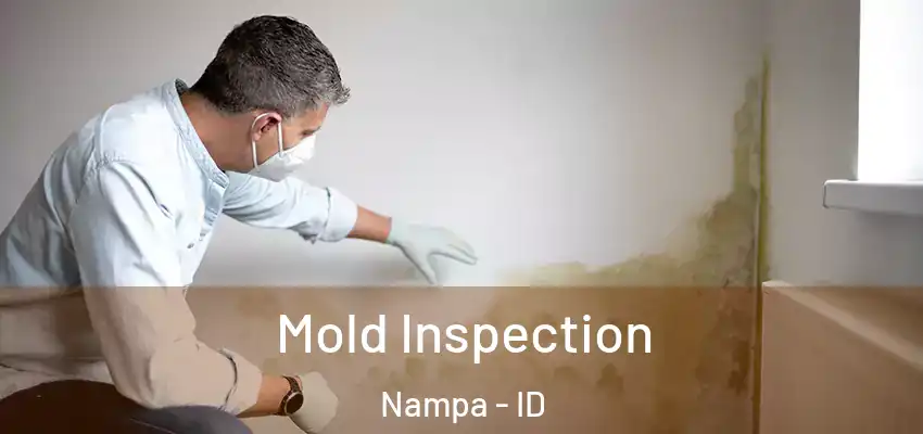  Mold Inspection Nampa - ID