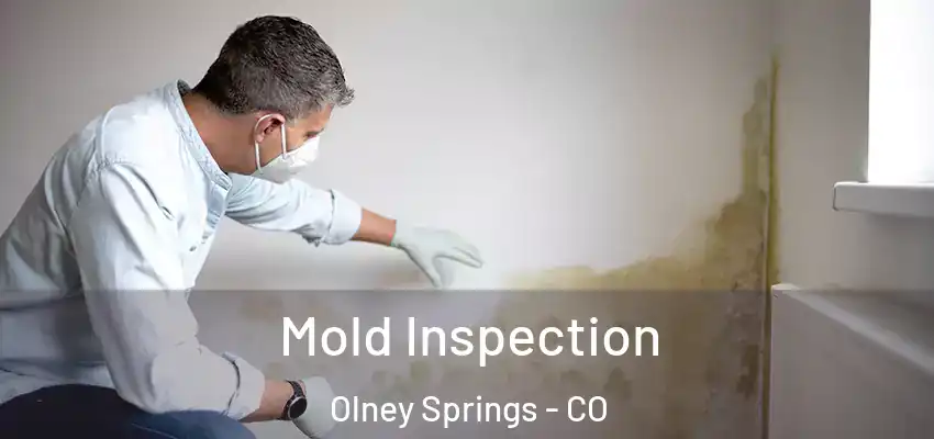 Mold Inspection Olney Springs - CO