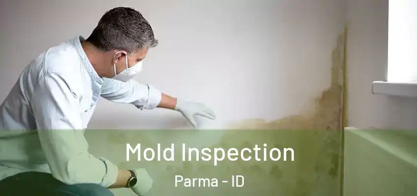 Mold Inspection Parma - ID
