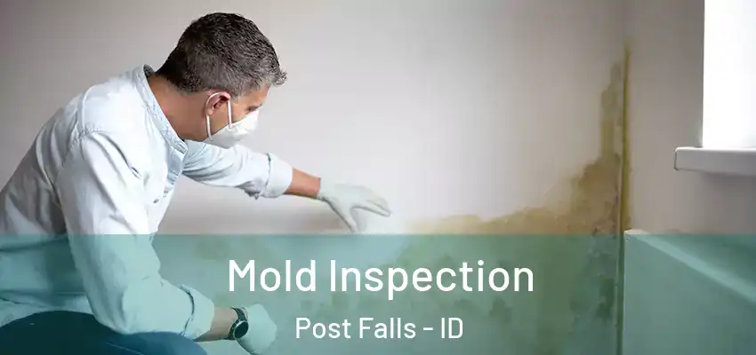 Mold Inspection Post Falls - ID
