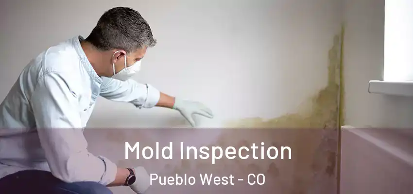Mold Inspection Pueblo West - CO