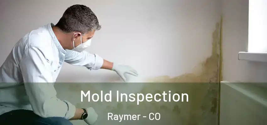  Mold Inspection Raymer - CO