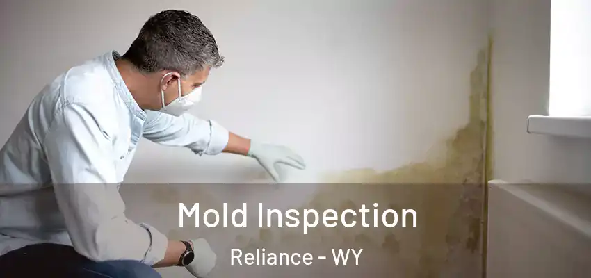 Mold Inspection Reliance - WY