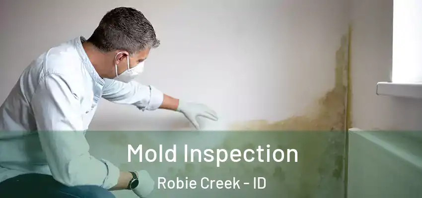  Mold Inspection Robie Creek - ID