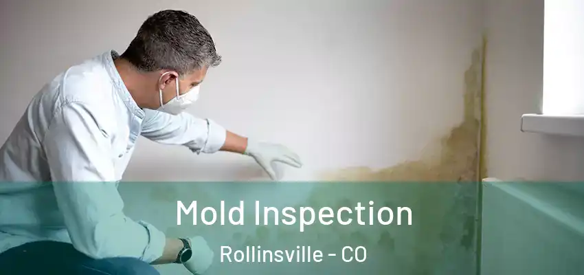  Mold Inspection Rollinsville - CO