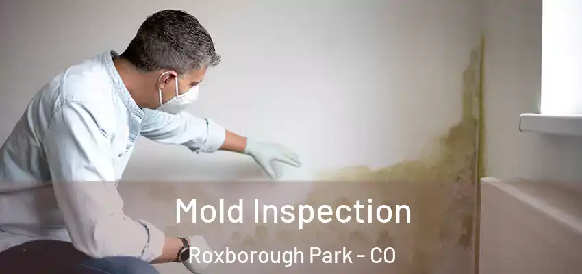  Mold Inspection Roxborough Park - CO