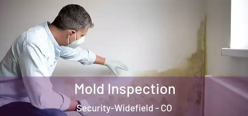 Mold Inspection Security-Widefield - CO