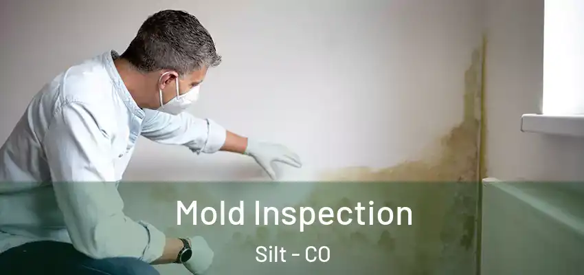 Mold Inspection Silt - CO
