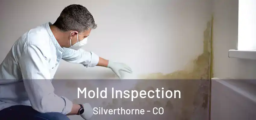 Mold Inspection Silverthorne - CO