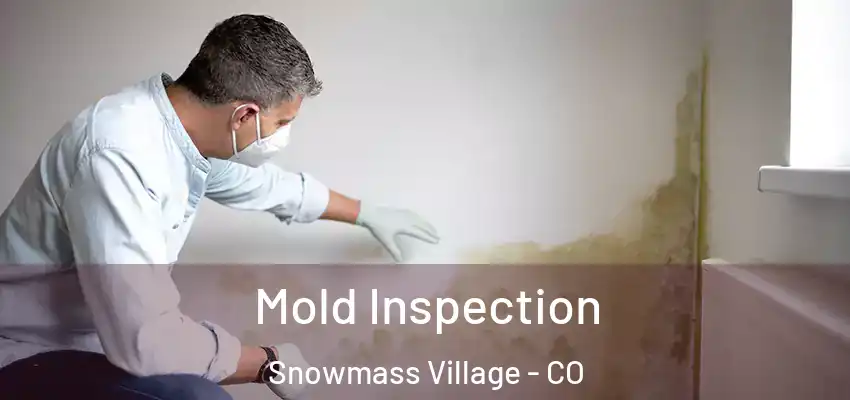  Mold Inspection Snowmass Village - CO