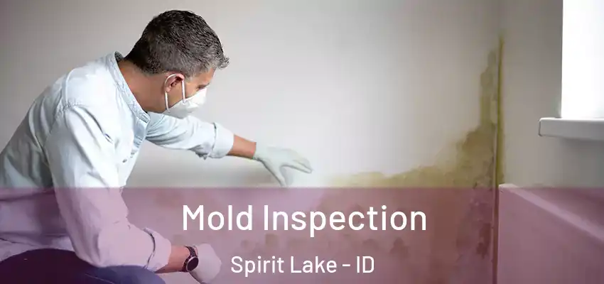  Mold Inspection Spirit Lake - ID