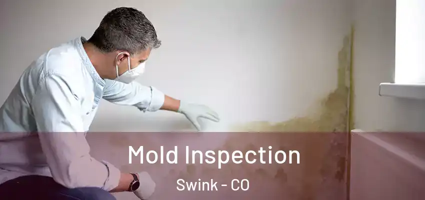 Mold Inspection Swink - CO
