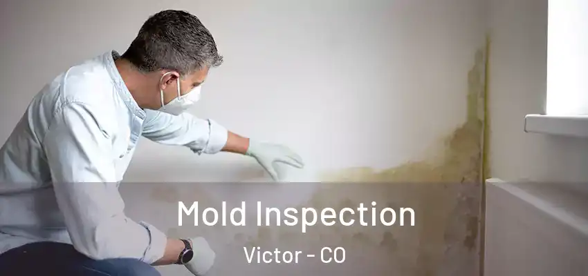 Mold Inspection Victor - CO