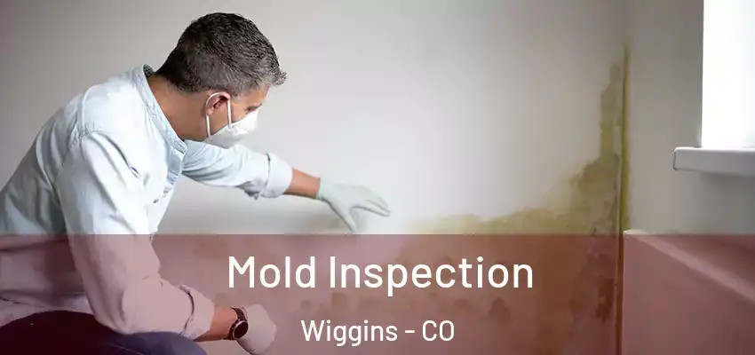  Mold Inspection Wiggins - CO