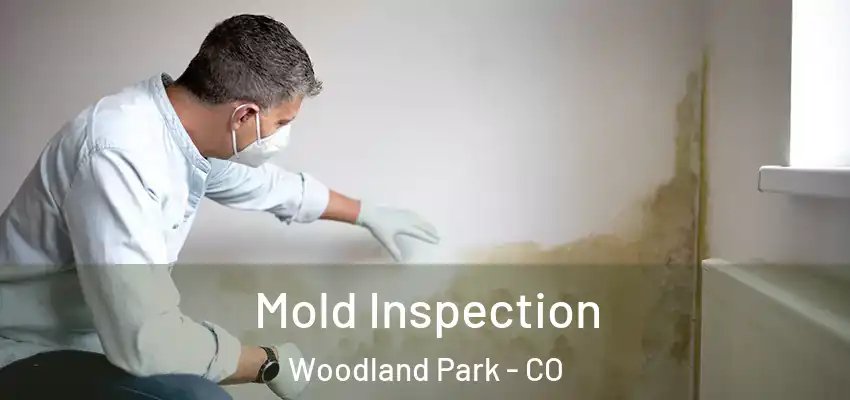  Mold Inspection Woodland Park - CO