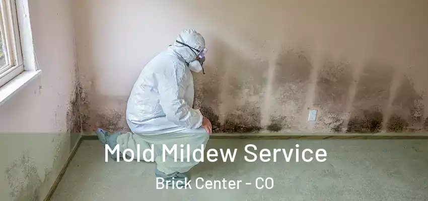 Mold Mildew Service Brick Center - CO