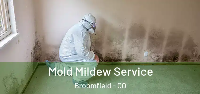 Mold Mildew Service Broomfield - CO
