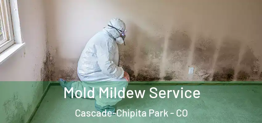 Mold Mildew Service Cascade-Chipita Park - CO