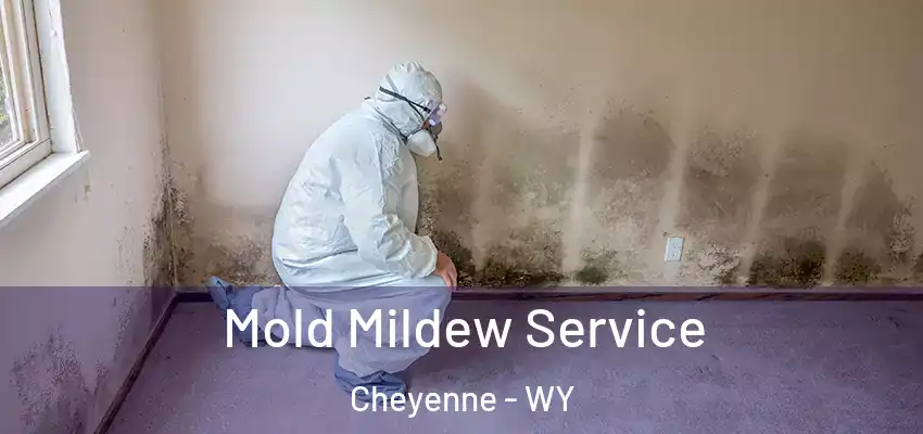  Mold Mildew Service Cheyenne - WY