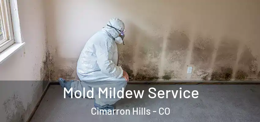  Mold Mildew Service Cimarron Hills - CO
