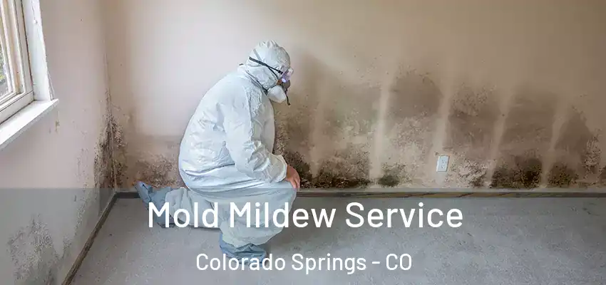  Mold Mildew Service Colorado Springs - CO