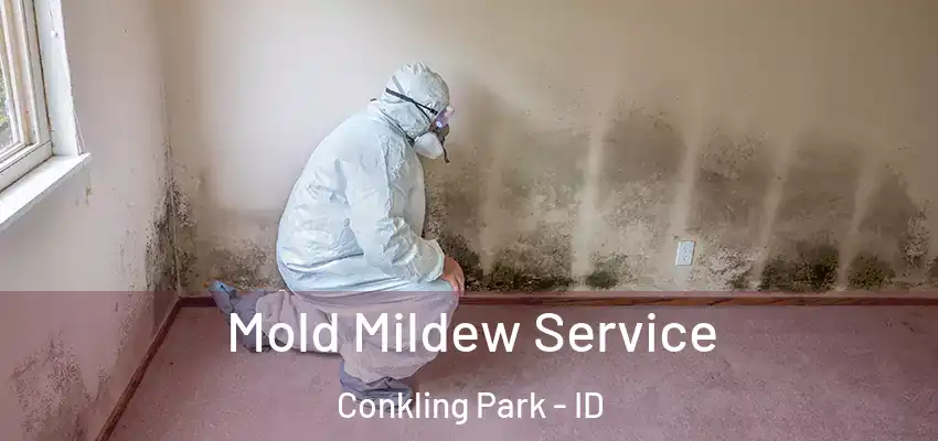  Mold Mildew Service Conkling Park - ID
