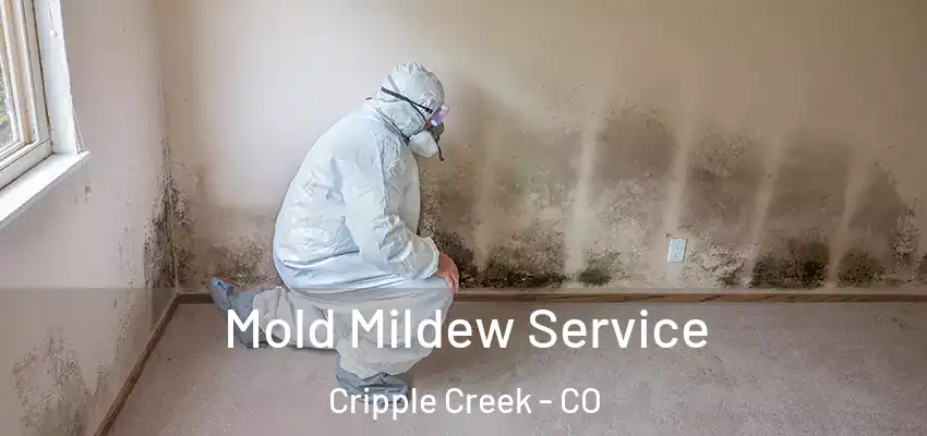  Mold Mildew Service Cripple Creek - CO
