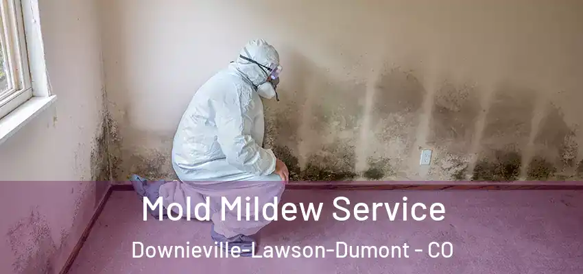  Mold Mildew Service Downieville-Lawson-Dumont - CO