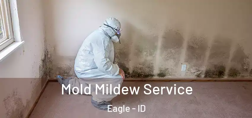  Mold Mildew Service Eagle - ID