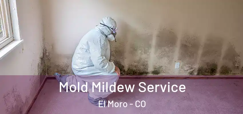  Mold Mildew Service El Moro - CO