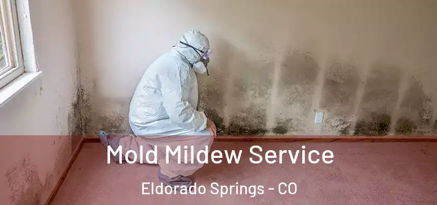  Mold Mildew Service Eldorado Springs - CO