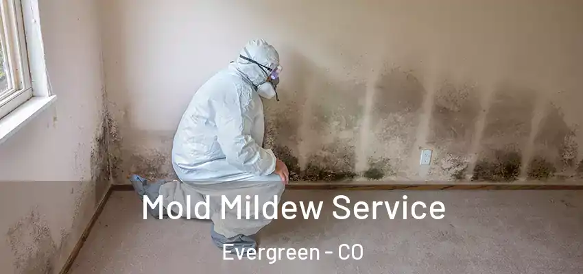 Mold Mildew Service Evergreen - CO