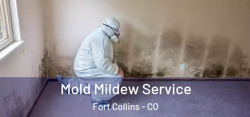  Mold Mildew Service Fort Collins - CO