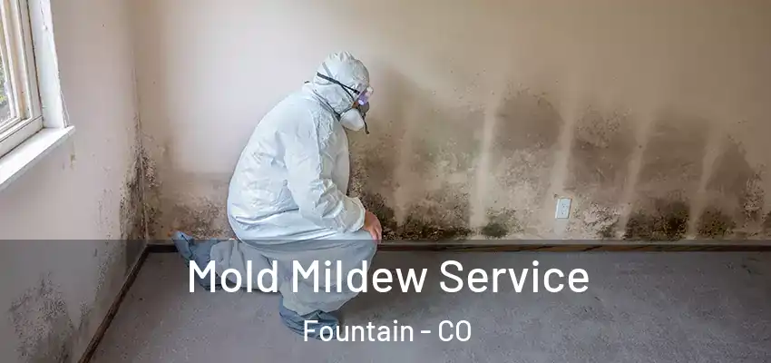 Mold Mildew Service Fountain - CO