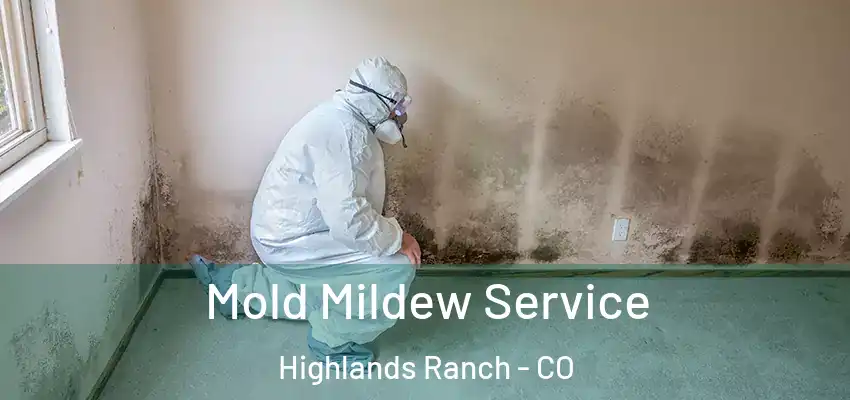 Mold Mildew Service Highlands Ranch - CO