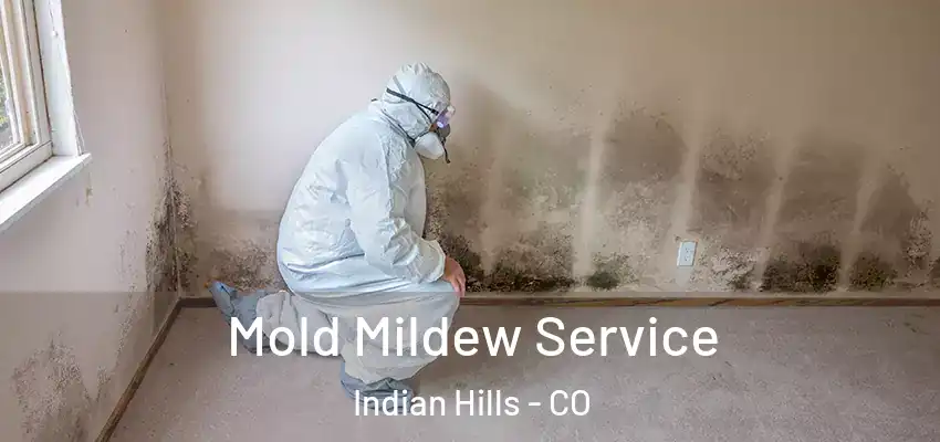 Mold Mildew Service Indian Hills - CO