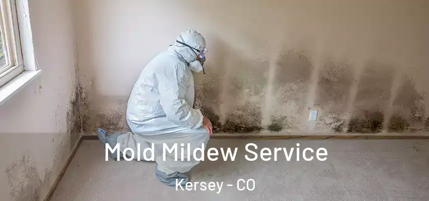  Mold Mildew Service Kersey - CO