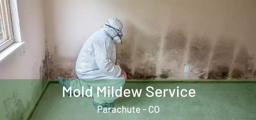  Mold Mildew Service Parachute - CO