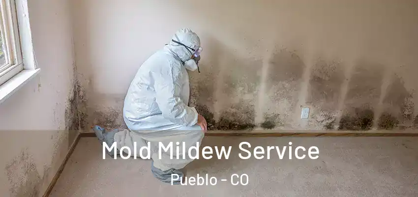  Mold Mildew Service Pueblo - CO