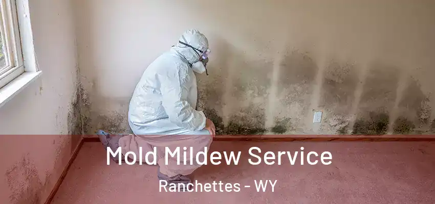  Mold Mildew Service Ranchettes - WY