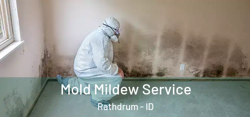  Mold Mildew Service Rathdrum - ID