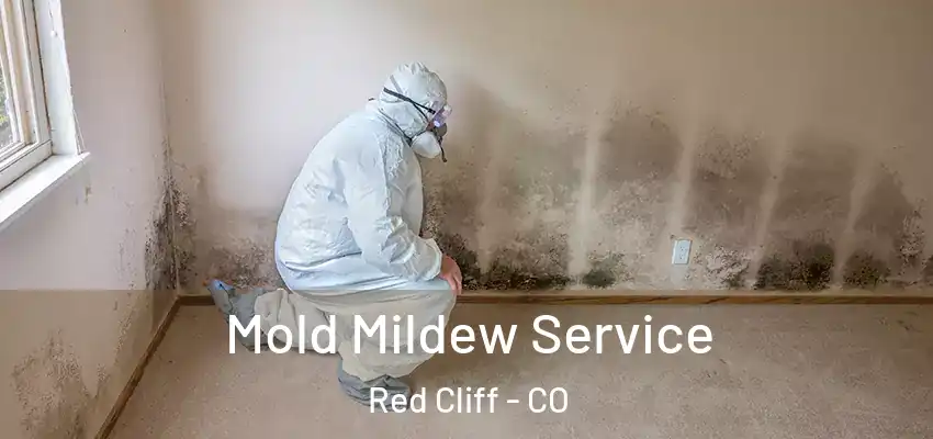 Mold Mildew Service Red Cliff - CO