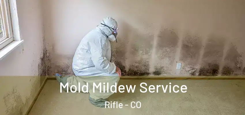  Mold Mildew Service Rifle - CO