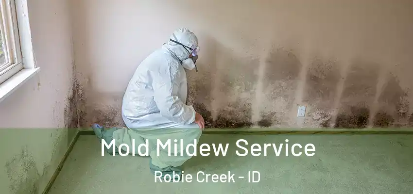 Mold Mildew Service Robie Creek - ID