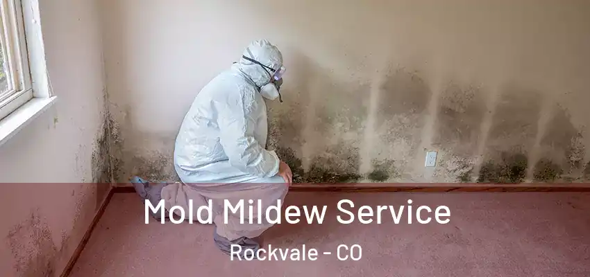 Mold Mildew Service Rockvale - CO