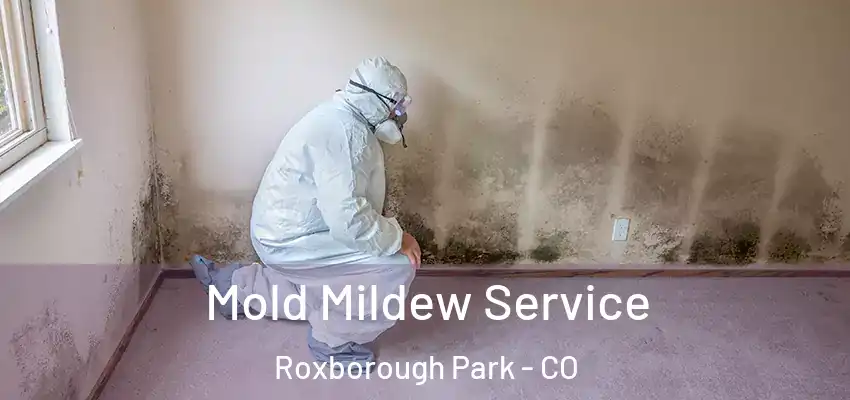 Mold Mildew Service Roxborough Park - CO
